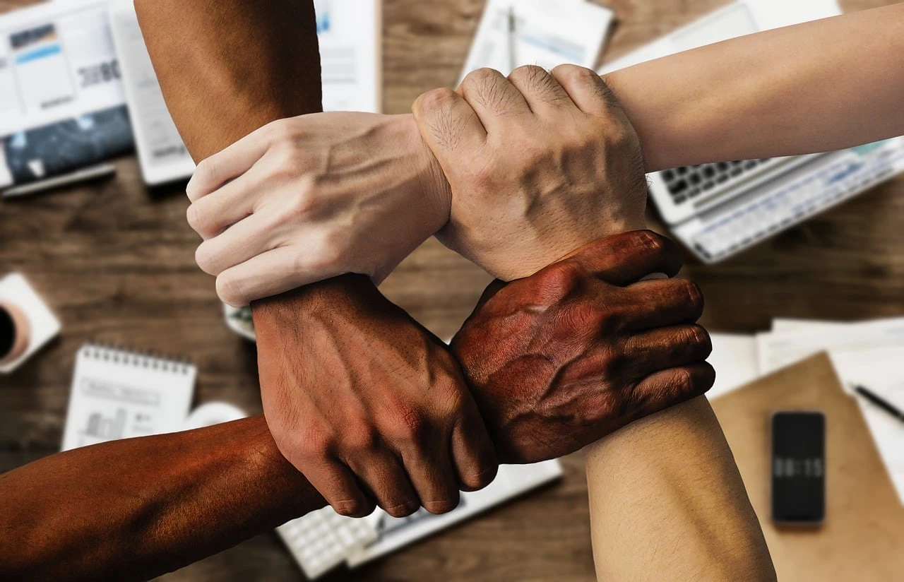 A cultura da Excelência Operacional como programa organizacional